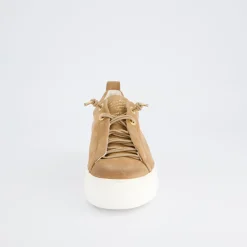 Pauls