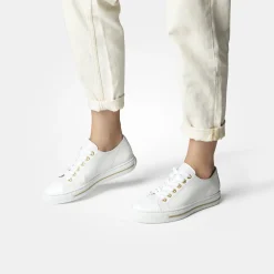SUPER SOFT Pauls