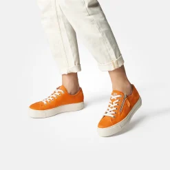 SUPER SOFT Pauls