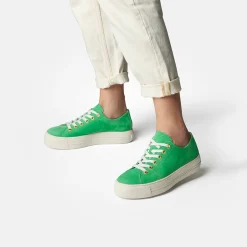 SUPER SOFT Pauls